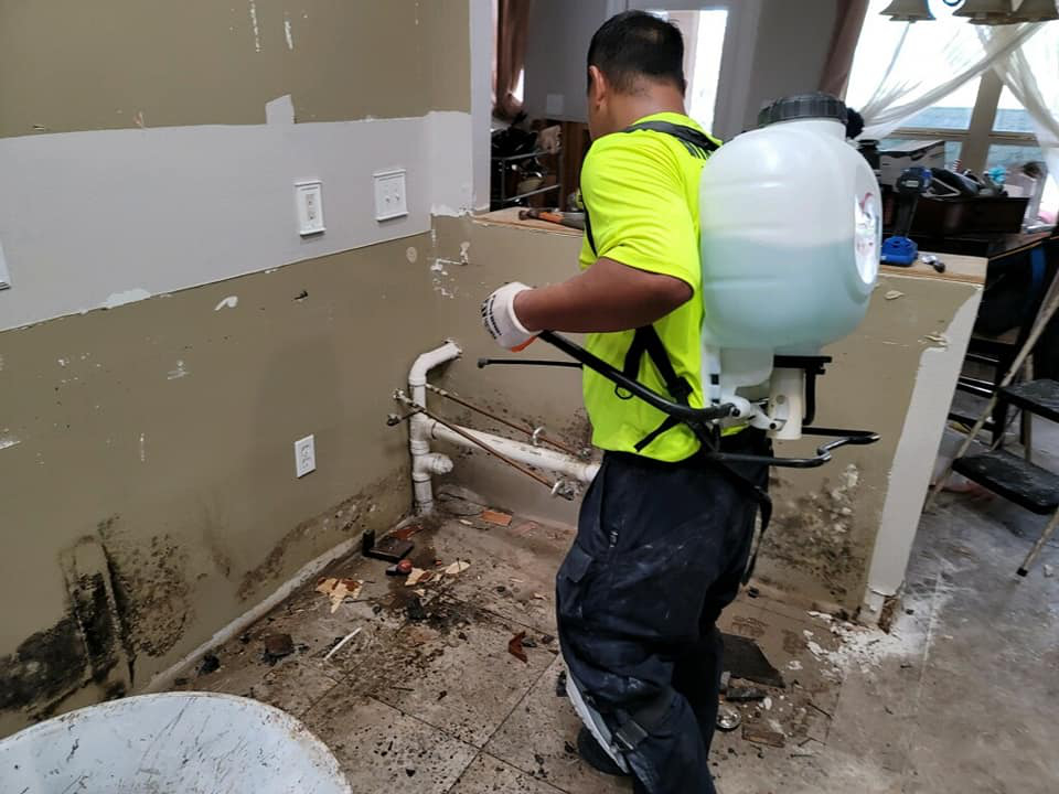 SprayingMold.jpg